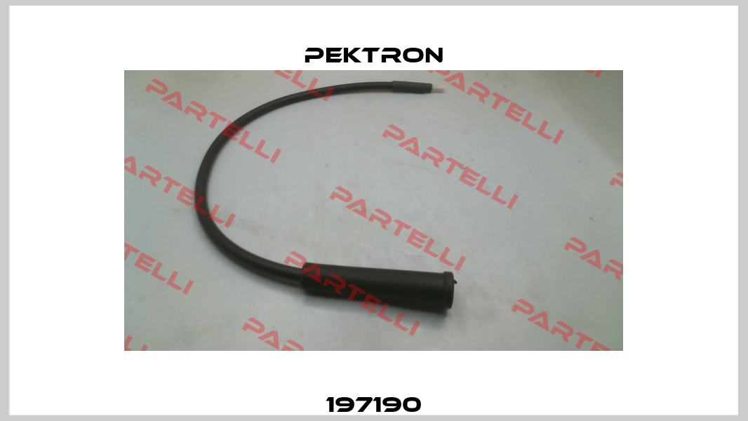 197190 Pektron