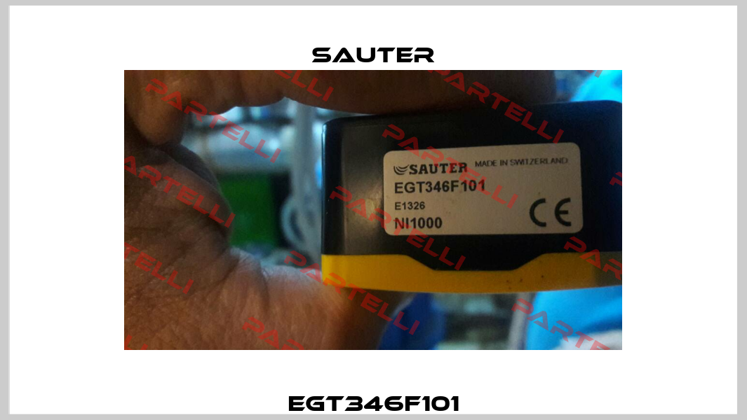EGT346F101 Sauter