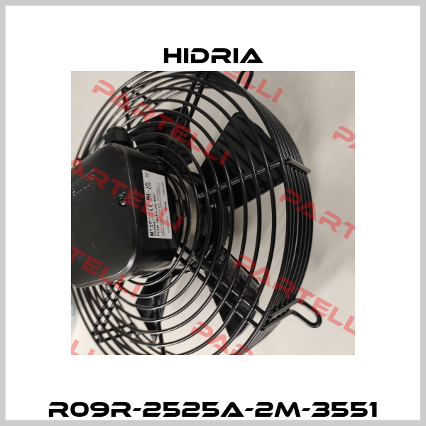 R09R-2525A-2M-3551 Hidria