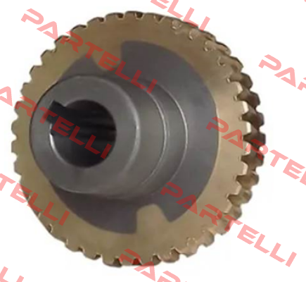 toothed for NMRV/050 Motovario