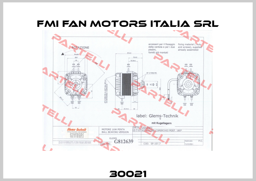 30021 FMI Fan Motors Italia Srl