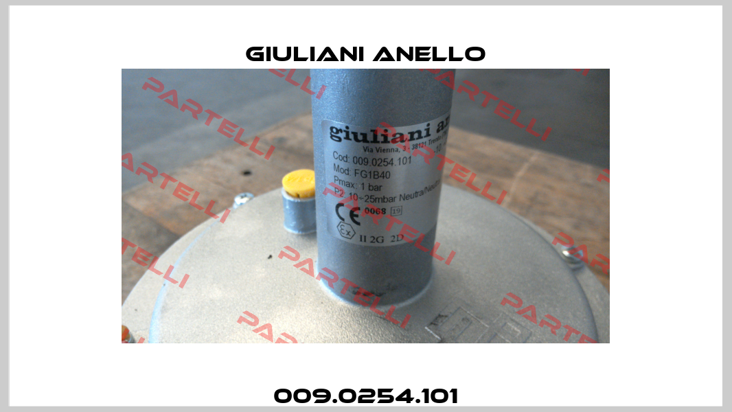 009.0254.101 Giuliani Anello