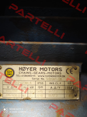 Y2E2-225MA-4 Hoyer Motors