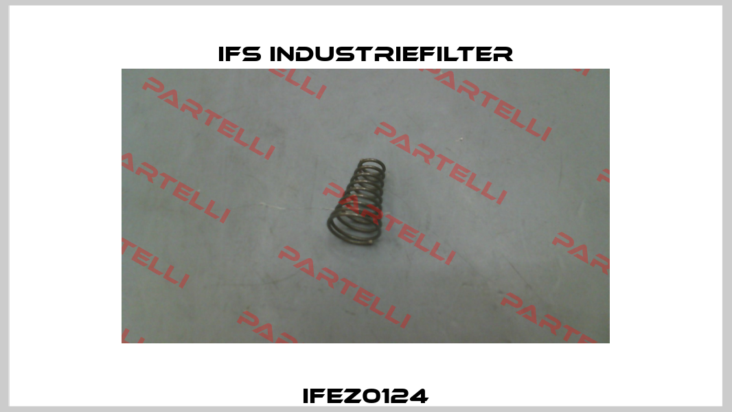 IFEZ0124 IFS Industriefilter