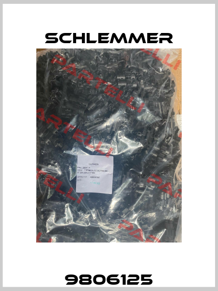 9806125 Schlemmer