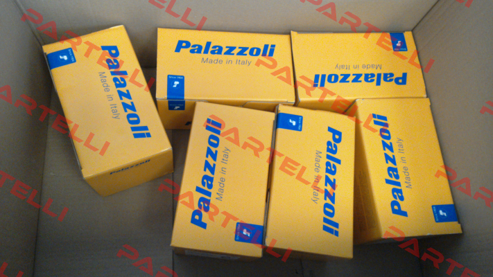 831089 Palazzoli