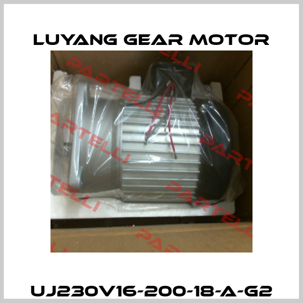 UJ230V16-200-18-A-G2 Luyang Gear Motor