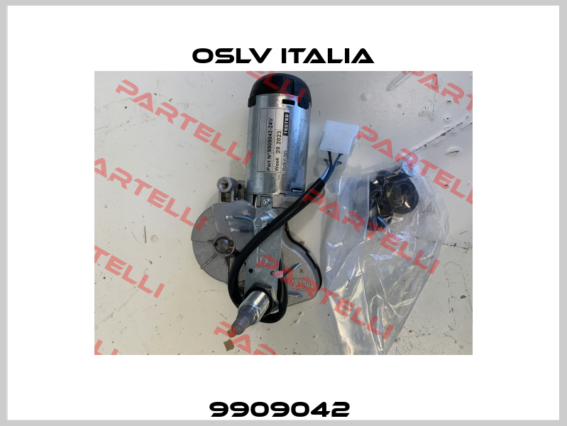 9909042  OSLV Italia