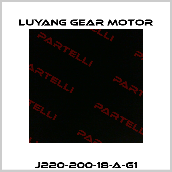 J220-200-18-A-G1 Luyang Gear Motor