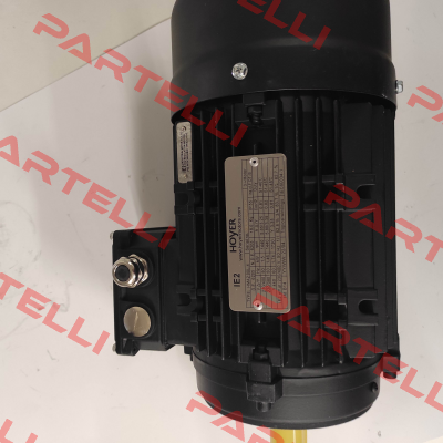 HMA2 90 L-4 IE2 Hoyer Motors