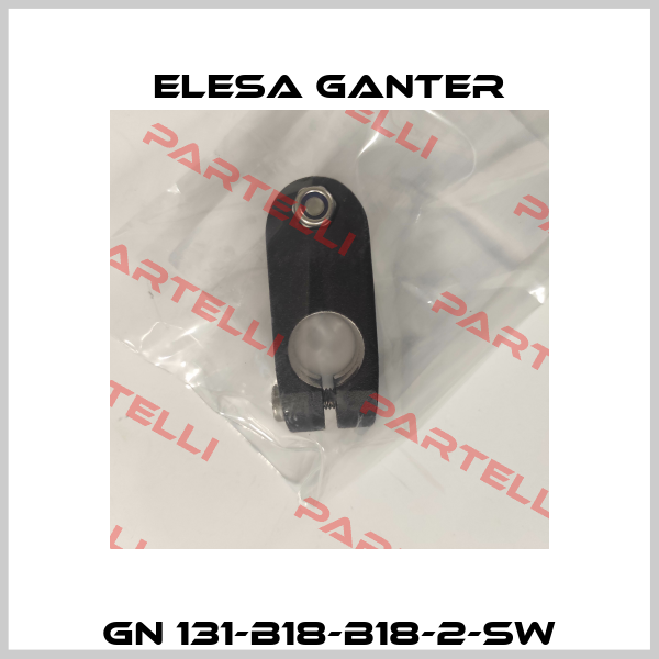 GN 131-B18-B18-2-SW Elesa Ganter