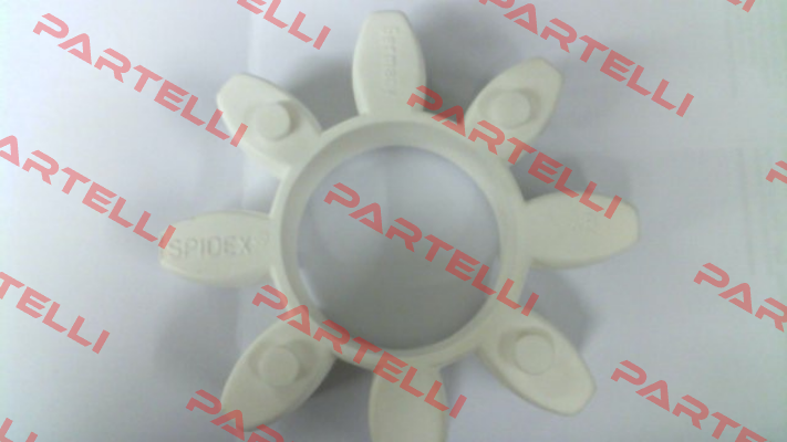 SP480262 R+L HYDRAULICS