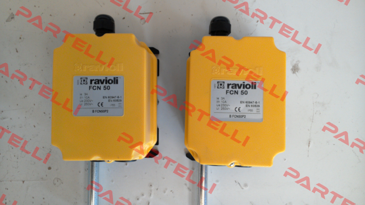 BFCN50 P2 Ravioli