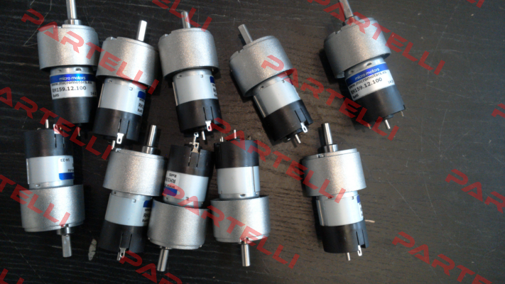 RH159.12.100 Micro Motors