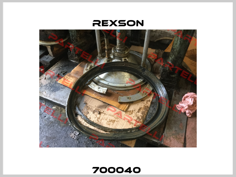  700040   Rexson