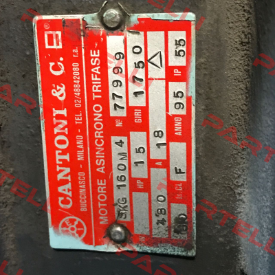 3SIEK160M-4 Cantoni Motor