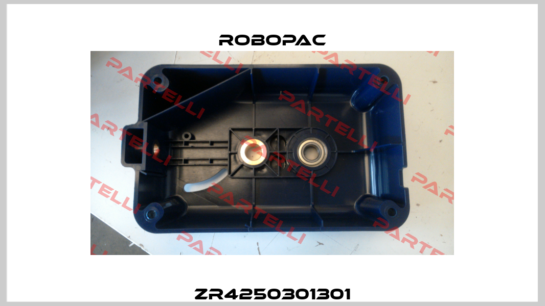ZR4250301301 Robopac