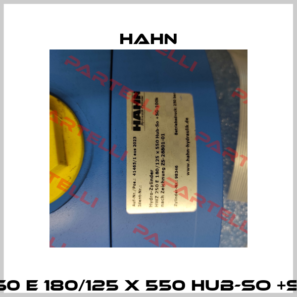 HWZ 250 E 180/125 x 550 Hub-So +SG-100k Hahn