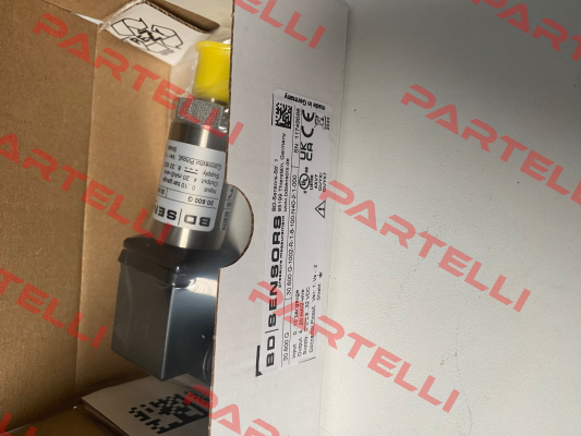 30.600G-1002-R-1-8-100-N40-2-1-000 Bd Sensors