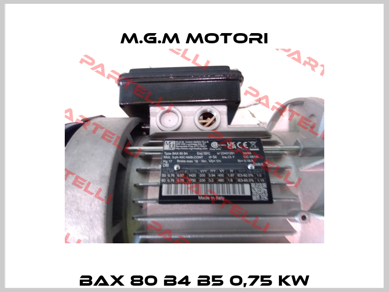 BAX 80 B4 B5 0,75 kw M.G.M MOTORI