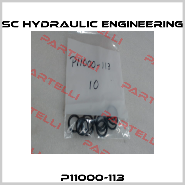 P11000-113 SC hydraulic engineering